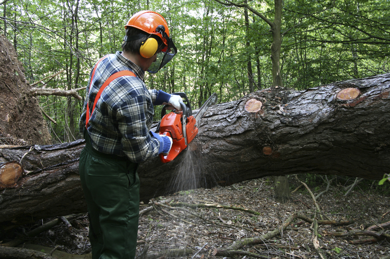 common work contexts for foresters